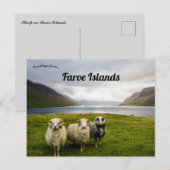 Schapen op de Faeröer Briefkaart (Voorkant / Achterkant)