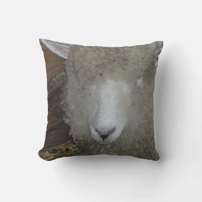 Schapen op de kermis kussen (Voorkant)