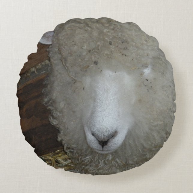 Schapen op de kermis rond kussen (Voorkant)