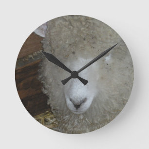Schapen op de kermis ronde klok