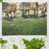 Schapen op de keuken van het boerderij Tea-handdoe Theedoek (Gevouwen)