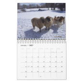 Schapen op de Ranch Calendar Kalender (Jan 2027)