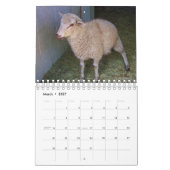 Schapen op de Ranch Calendar Kalender (Mar 2027)