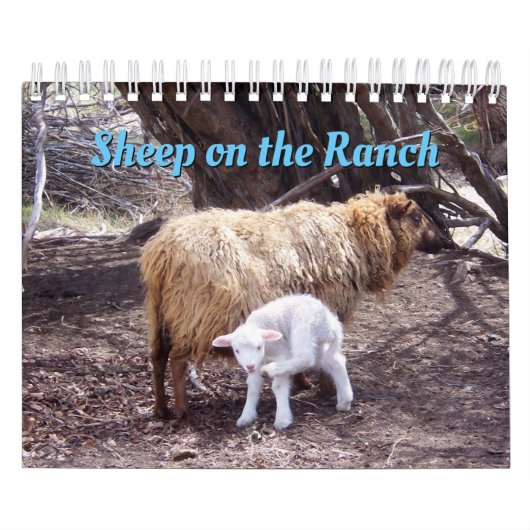 Schapen op de Ranch Calendar Kalender (Hoes)