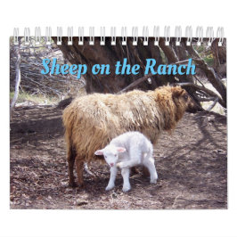 Schapen op de Ranch Calendar Kalender