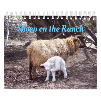 Schapen op de Ranch Calendar Kalender