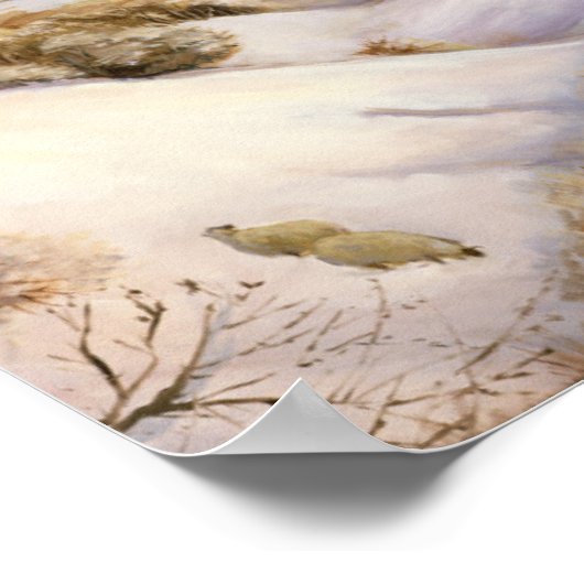 Schapen op de rug poster (Hoek)