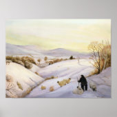 Schapen op de rug poster (Voorkant)