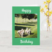 SCHAPEN OP DE VARKENSAY **MAKKELIJKHEID BIEDDAG" KAART (Gele Bloem)