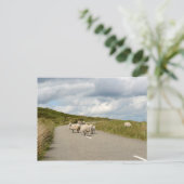 Schapen op de weg in het briefkaart van Ierland (Staand voorkant)