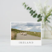 Schapen op de weg in Ierland Briefkaart (Staand voorkant)