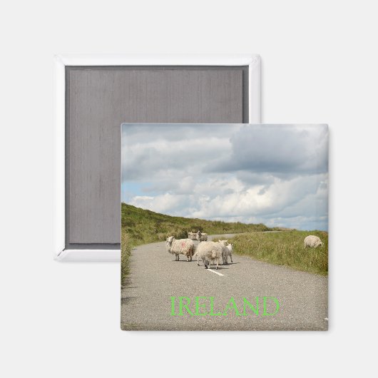 Schapen op de weg in Ierland tekst magneet (Voorkant / Achterkant)