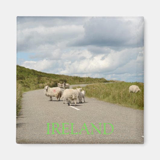 Schapen op de weg in Ierland tekst magneet (Voorkant)