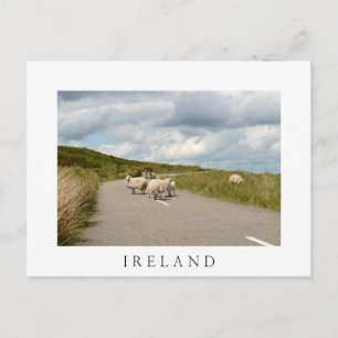 Schapen op de weg in Ierland wit briefkaart