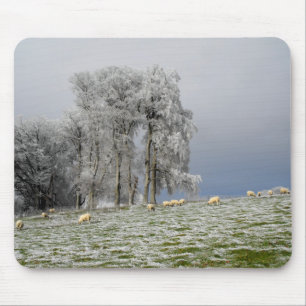Schapen op een ijzige heuvel muismat