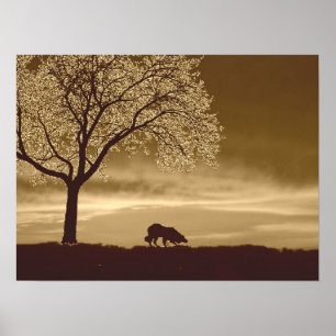 "Schapen op het Horizon 3"~Border Collie Poster