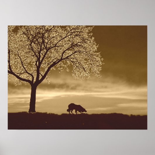 "Schapen op het Horizon 3"~Border Collie Poster (Voorkant)