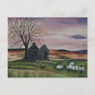 Schapen op Parkmore, County Antrim schilderij - Ka Briefkaart