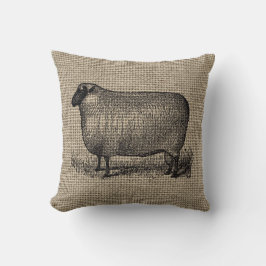 schapen op schoot kussen