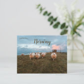 Schapen op Sunset in Jæren Noorwegen Briefkaart (Staand voorkant)