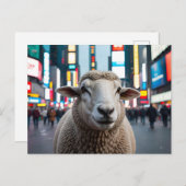 Schapen op Times Square Briefkaart (Voorkant / Achterkant)