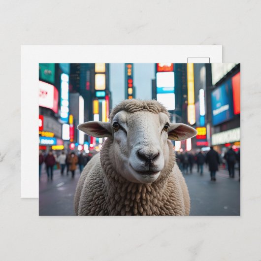 Schapen op Times Square Briefkaart (Voorkant / Achterkant)