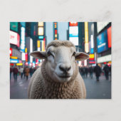 Schapen op Times Square Briefkaart (Voorkant)