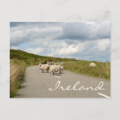 Schapen op weg in Ierland tekstbriefkaart Briefkaart (Voorkant)