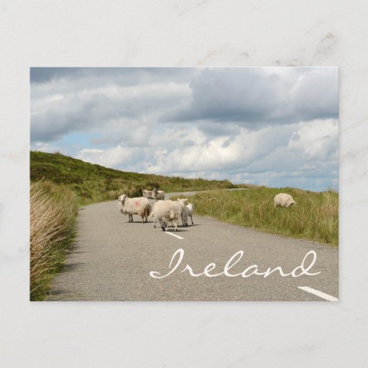 Schapen op weg in Ierland tekstbriefkaart Briefkaart (Voorkant)