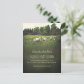 Schapen op weide | Familie reünie Bewaar de datum Aankondigingskaart (Staand voorkant)