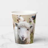 Schapen Papieren Bekers (Achterkant)