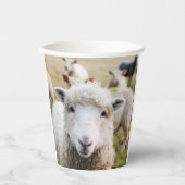 Schapen Papieren Bekers (Voorkant)