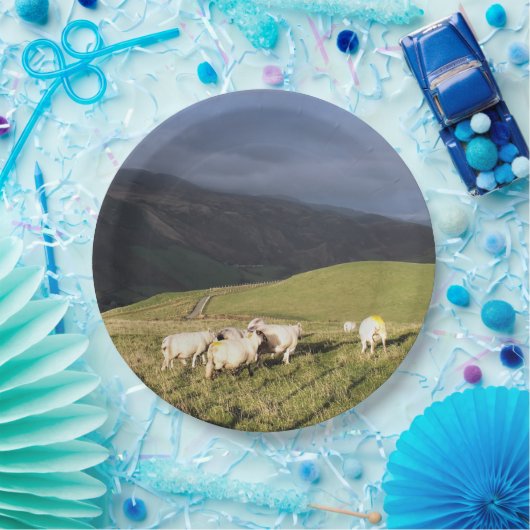 SCHAPEN PAPIEREN BORDJE (Feest)