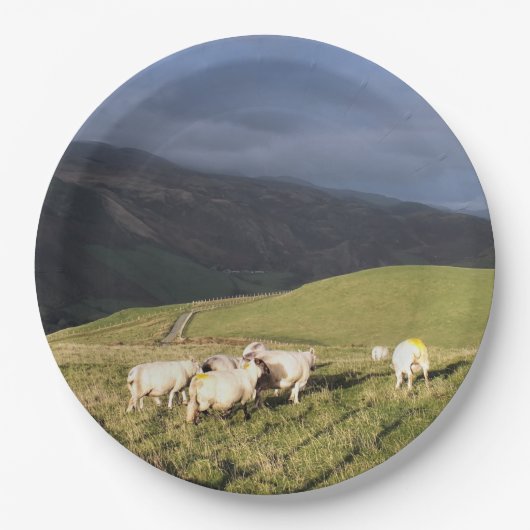 SCHAPEN PAPIEREN BORDJE (Voorkant)