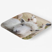 Schapen Papieren Bordje (Gebogen)