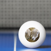 SCHAPEN PINGPONGBAL (Net)