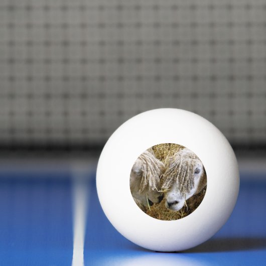 SCHAPEN PINGPONGBAL (Net)
