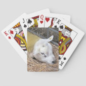 SCHAPEN POKERKAARTEN (Achterkant)