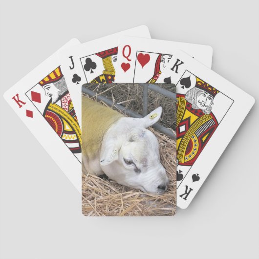 SCHAPEN POKERKAARTEN (Achterkant)