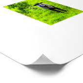 Schapen poster (Hoek)