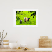 Schapen poster (Keuken)