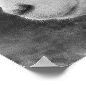 Schapen Poster (Hoek)