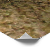 SCHAPEN POSTER (Hoek)