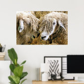 SCHAPEN POSTER (Thuiskantoor)