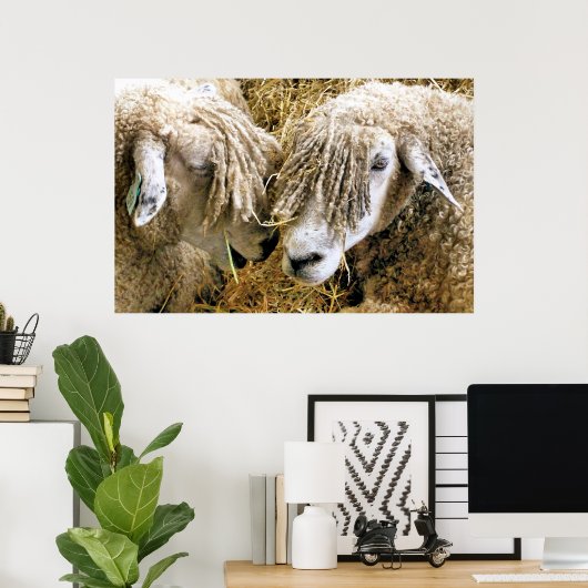 SCHAPEN POSTER (Thuiskantoor)