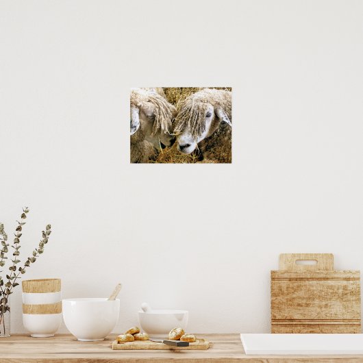 SCHAPEN POSTER (Keuken)