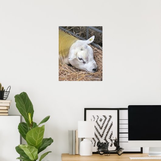 SCHAPEN POSTER (Thuiskantoor)