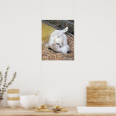 SCHAPEN POSTER (Keuken)