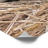 SCHAPEN POSTER (Hoek)