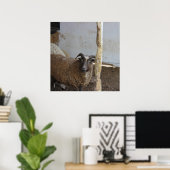 Schapen Poster (Thuiskantoor)